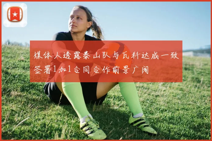 媒体人透露泰山队与瓦科达成一致签署1加1合同合作前景广阔