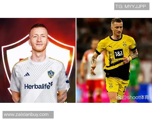 罗伊斯力挺布兰特留队多特未来合作前景可期